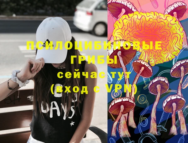 трава Абаза