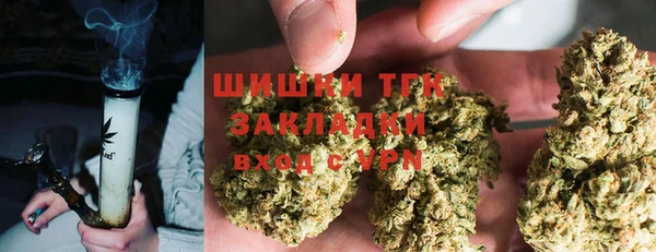 a pvp Алзамай