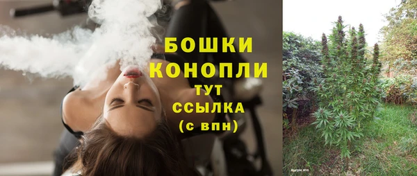 трава Абаза