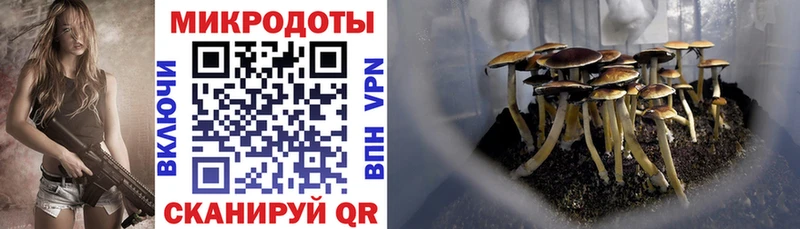 нарко площадка телеграм  Сочи  Галлюциногенные грибы Cubensis 